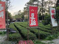 -南京市溧水区傅家边梅花山弄山庄