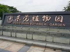-东莞植物园