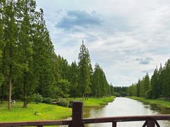 -黄海国家森林公园