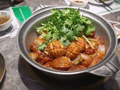 -禄婶鸡煲·打边炉
