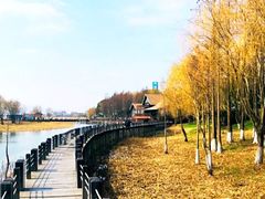 -苏州太湖湖滨国家湿地公园