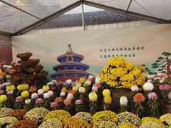 -国药中服免税(北京坊店)