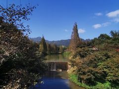 -田野绿世界