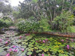 -海南热带野生动植物园