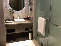 -南京禄口机场雅高铂尔曼大酒店