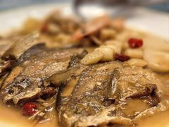 -新吉士·上海菜(浦东LCM置汇旭辉店)