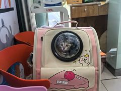 -纳吉亚猫专科动物医院博雅分院