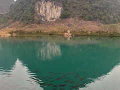 -靖西鹅泉风景区