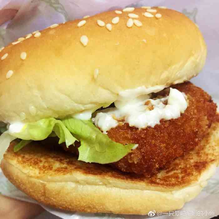 艾比客汉堡(凤凰山路店)-"在加油站洗车,来隔壁的艾比客买点简餐,垫.