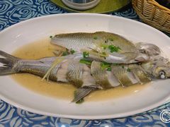 清蒸白水鱼-听风阁农家私房菜茶楼(龙坞店)