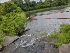 -济州森林小火车生态公园