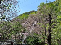 -京东石林峡风景区