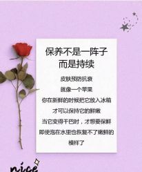点击看大图 -玛莲朵·海菲秀冰珀科