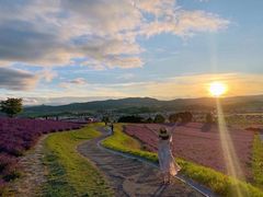 -富田农场
