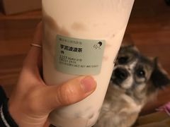 -喜茶(永旺梦乐城店)