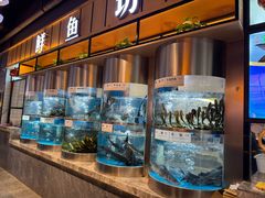 -老船舫·现做活鲜鱼馆(东郊记忆店)