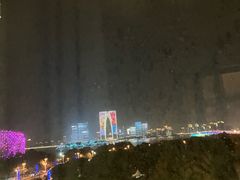 -苏州金鸡湖文博诺富特酒店