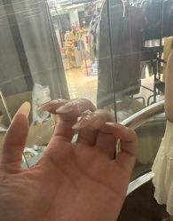 -指典艺术美甲美睫