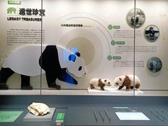 -四川大学博物馆