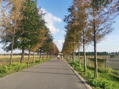 -嘉北郊野公园