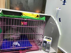 -瑞鹏宠物医院·内科·中兽医·骨科(苗圃店)
