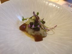 冰岛海鳌虾塔塔-蝶舍·MAISON PAPILLON