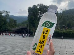 -峨眉山报国寺