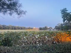 -长春市南湖公园