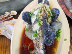 -四川人郑霞海鲜