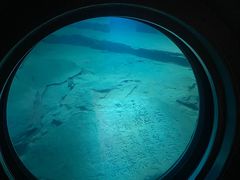 -白鹤梁水下博物馆