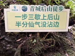 -青城山