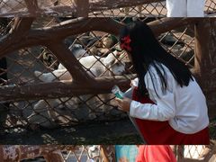 -佛冈森波拉度假区