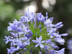 -昆明市金殿名胜区