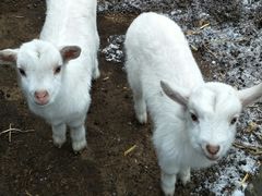 -丹香(乳山利群店)