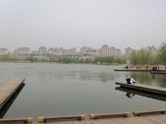 -马家湾湿地公园