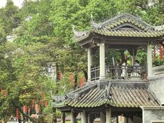 -荔湾湖公园