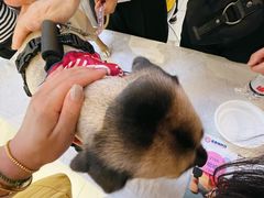 -远洋未来广场(育慧北路店)