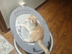 -小朱麻辣串(益民街店)