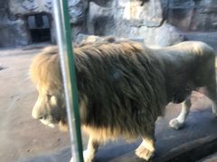 -南昌动物园