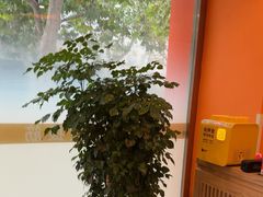 -泰古龙抓龙筋·spa按摩(浦东店)