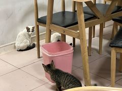 -清真·白家牛肉罩火烧老店(育才街店)