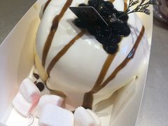 -狐狸和向日葵(北京路店)