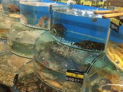 -沿海渔家院蒸汽海鲜·东北菜(东戴河店)