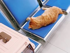 -申普宠物医院·眼科·心内科·影像科(普陀分院)