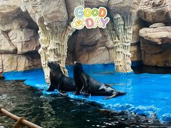 -华夏文旅海洋公园