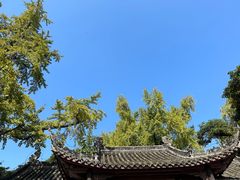 -三苏祠