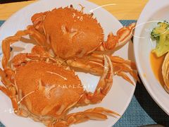 -金环海鲜自助(大坪时代天街店)