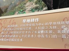 -中国农业博物馆