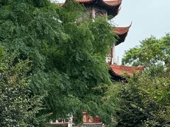 -禹州森林植物园