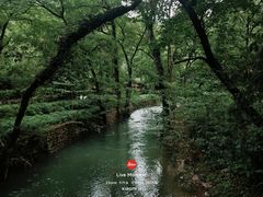 -五泄景区